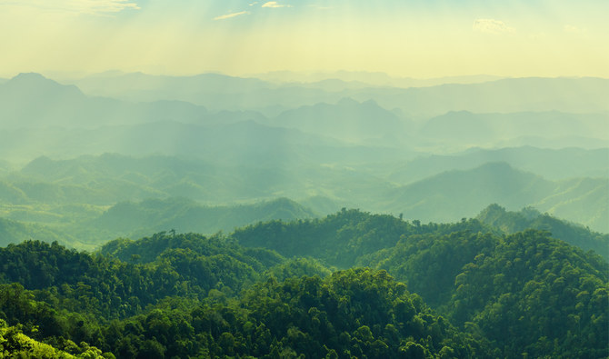 The COP16 talks will seek to build on a historic agreement reached at talks last year aimed at saving Earth’s lands, oceans and species from pollution, degradation and the climate crisis. (Shutterstock)