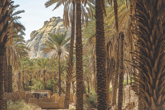 AlUla oasis offers visitors some much-needed respite from the sweltering heat. (RCU)
