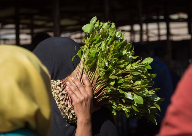 Individuals chew khat leaves for its stimulant effects, which are less intense than those caused by abusing cocaine or methamphetamine. (SPA)