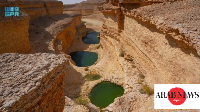 Mohammad Bin Salman approves Royal Reserves targets to boost eco-tourism and afforestation in Kingdom｜Arab News Japan