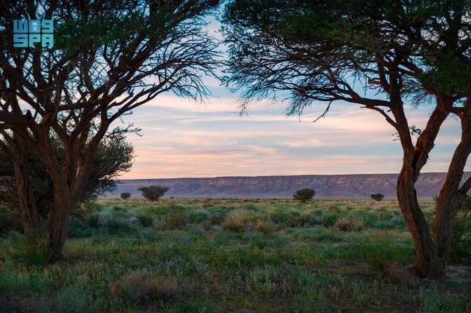 The Royal Reserves are unique and exceptional destinations for eco-tourism and are expected to cement the Kingdom's position as one of the world's top tourism destinations. (SPA)
