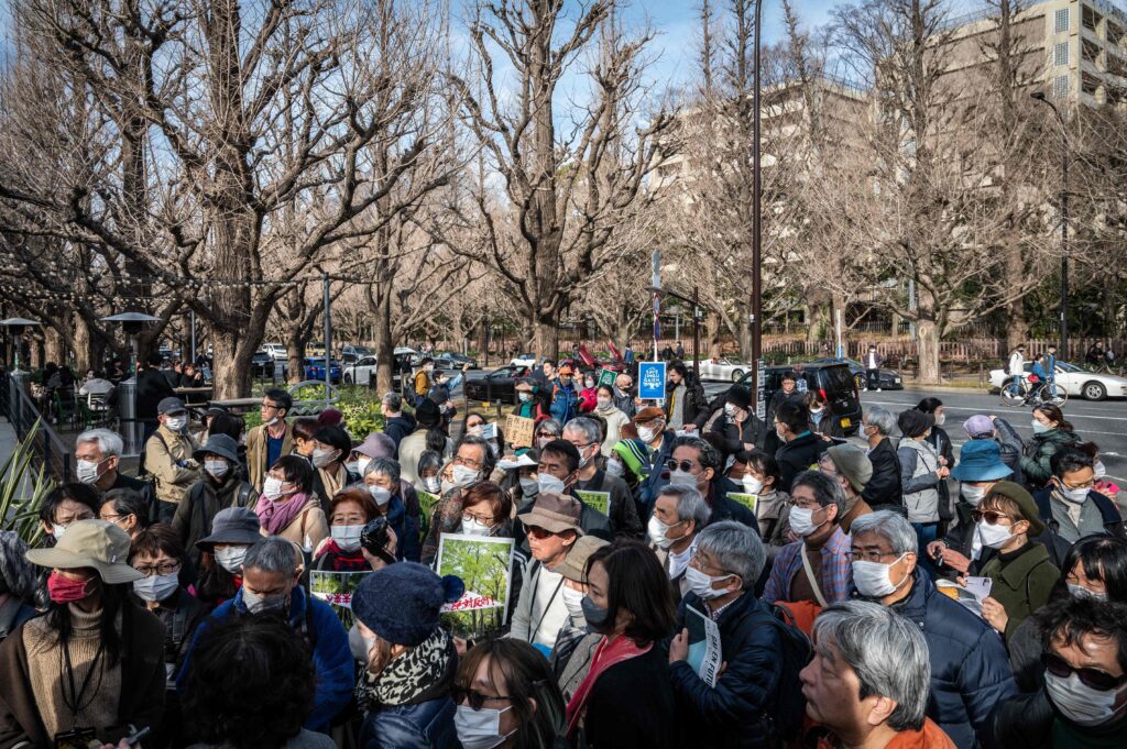 The International Council on Monuments and Sites (ICOMOS) this month put the number of trees in danger at around 3,000 in a