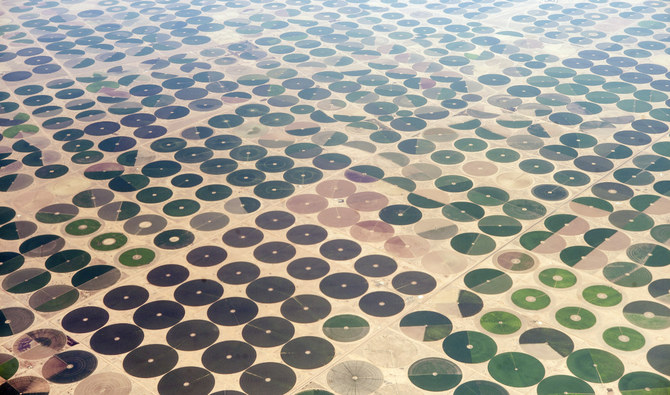 A general view taken from an airplane on September 11, 2014 shows cultured farms in northern Saudi Arabia. (AFP)