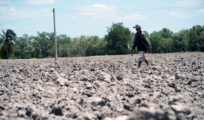 Thailand’s vital rice belt was battered in 2015 by a terrible drought that forced impoverished farmers deeper into debt and heaped pain on an already weak economy. (AFP/File )