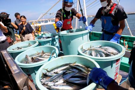 Fishery workers unload seafood caught in offshore trawl fishing at Matsukawaura port in Soma City, Fukushima prefecture on September 1, 2023, about a week after the country began discharging treated wastewater from the TEPCO Fukushima Daiichi nuclear power plant. (Photo by JIJI PRESS / AFP)