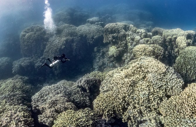 The documentary, produced by UK-based Ocean Souls Films, focuses on ocean conservation. (Supplied)