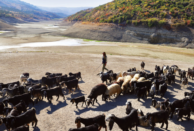 A shepherd leads his herd in the almost dried Doueisat (Duwaysat) dam outside the town of al-Diriyah in Syria's northern Idlib province on November 9, 2021. (AFP/File photo)