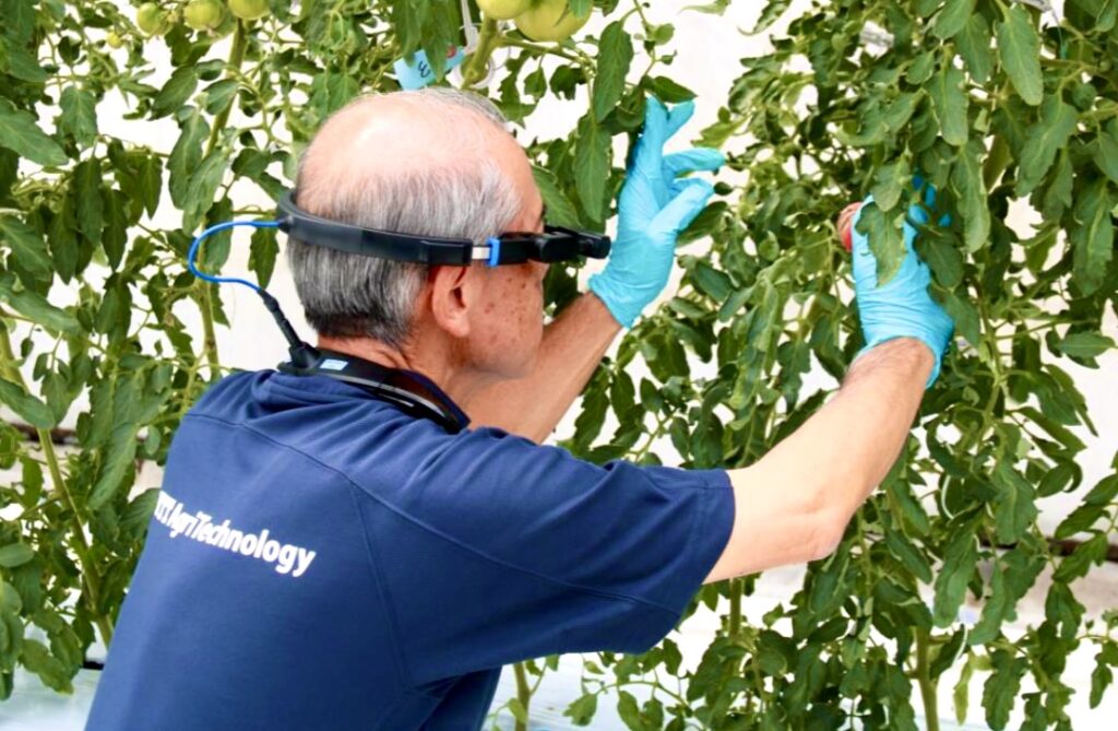 Tokyo is hoping to develop next-generation solutions to issues facing farming in Japan, with predictions suggesting that two-thirds of the world's population will be living in cities by 2050. (TMG)