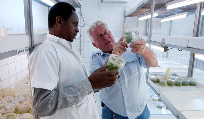 A medical research team examine the main component in anti-malaria pills in Bukavu. (AFP file photo)