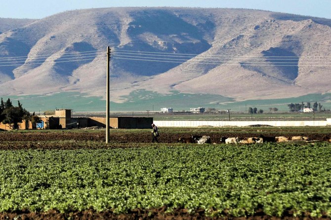 A shepherd leads a grazing flock by a plot of agricultural farmland in the area outside of Qamishli in northeastern Syria on December 14, 2023. (AFP)