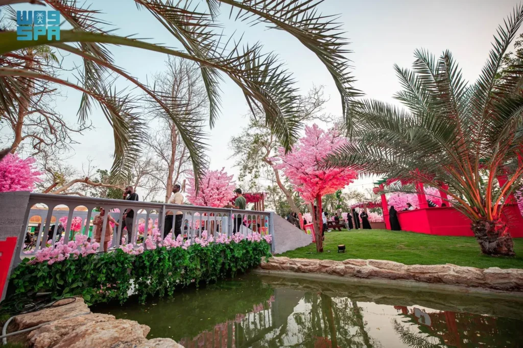 The spot witnessed a huge turnout as visitors came to enjoy the views of the Japanese Sakura, the cherry blossoms, which symbolize beauty in Japanese culture. (SPA)