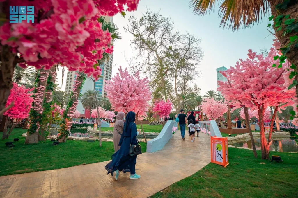 The spot witnessed a huge turnout as visitors came to enjoy the views of the Japanese Sakura, the cherry blossoms, which symbolize beauty in Japanese culture. (SPA)