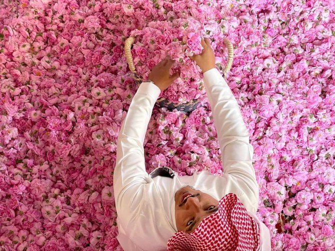 From its humble presence on the highest mountain peaks, the Taif rose has developed over centuries, evolving from sparse shrubs and farms into a landmark. (File/AFP)