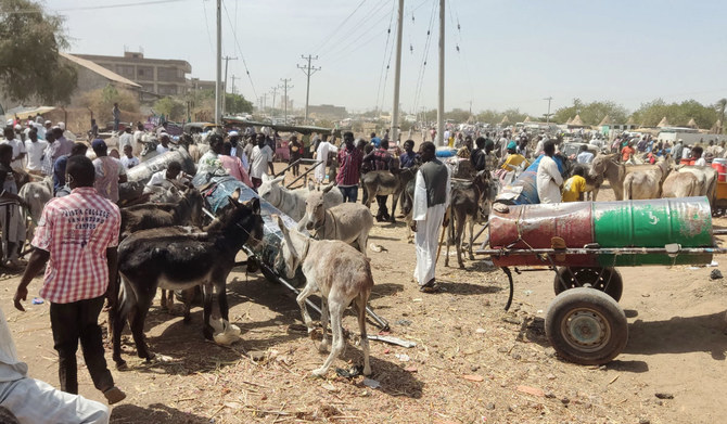 Traders and donkey farmers gather in an open market in Gedaref state in eastern Sudan on February 16, 2024, amid increasing uses for donkeys in transportation due to fuel and petrol shortages in the war-torn country, ravaged by internal fighting between the army and the paramilitary Rapid Support Forces (RSF) since last April. (AFP)