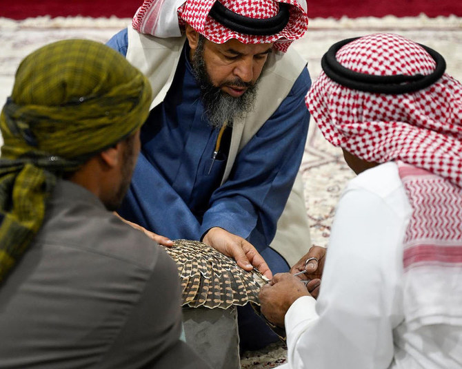 The art of tawseer requires a deep understanding of falcon anatomy, feather types, and the intricate process of feather replacement. (SPA)