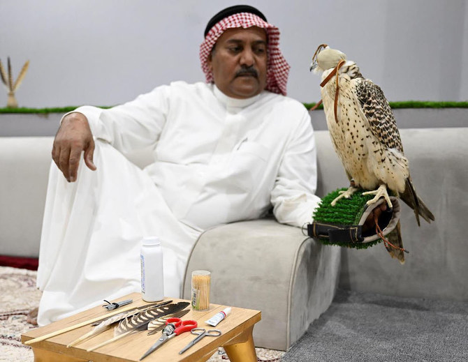 The art of tawseer requires a deep understanding of falcon anatomy, feather types, and the intricate process of feather replacement. (SPA)