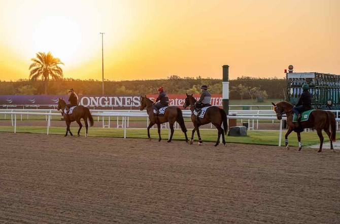 Horse racing is one of the UAE's most popular sports. (X: @MiddleEastRacing)