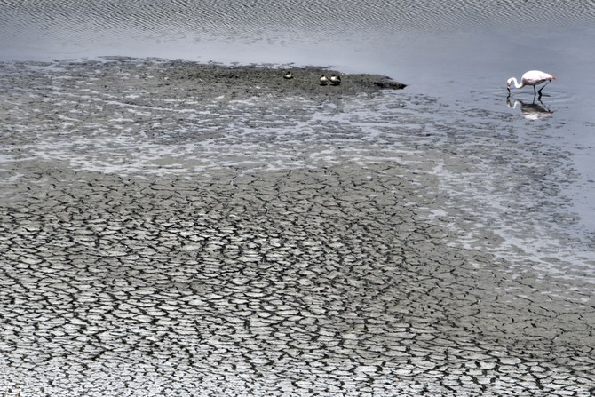 At the COP28 conference last December, it was estimated that nearly $6 trillion in climate financing will be needed by 2050(AFP)