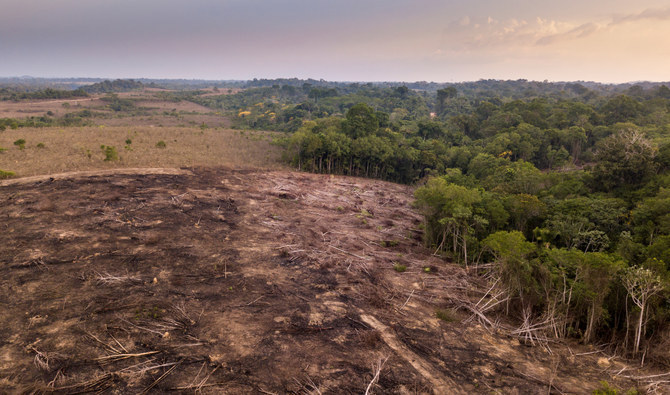 In 2022, deforestation rates increased by 4%, setting us back 21% from the 2030 target to cease deforestation. (Shutterstock)