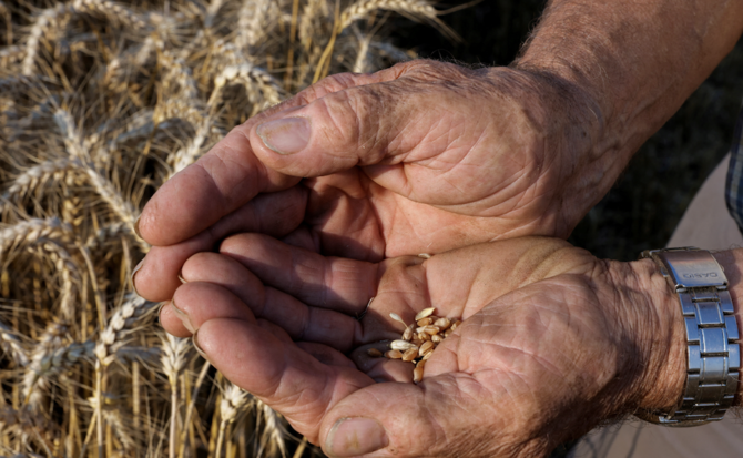 Food security is often at the core of national policy agendas and international cooperation efforts. (Reuters)