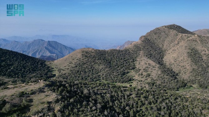 A view of 