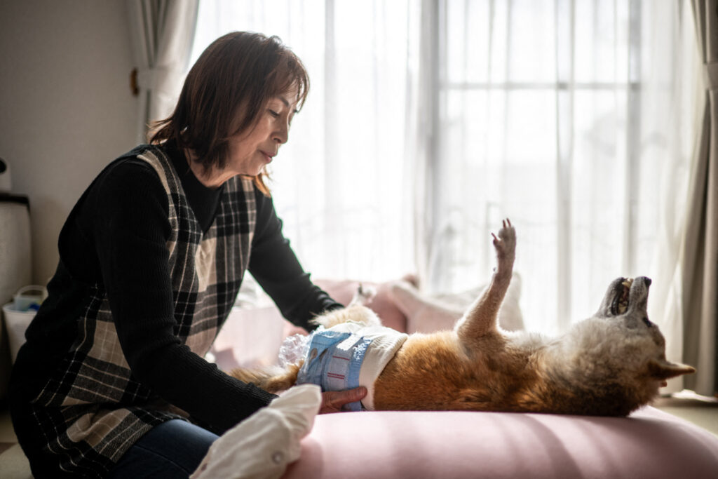 Atsuko Sato with her Japanese shiba inu dog Kabosu on March 19, 2024. (AFP)