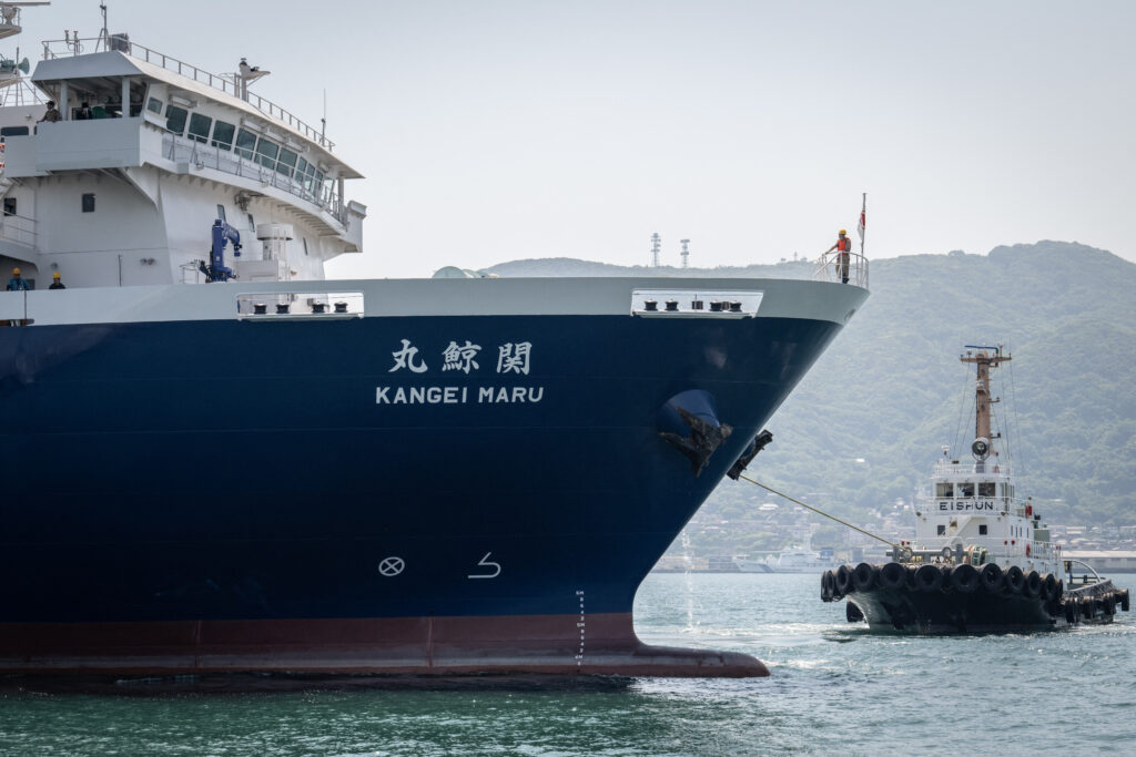 Japan's new whaling mothership, the Kangei Maru, leaves port after the ship's launch ceremony in Shimonoseki city. (AFP)