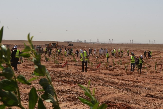 Riyadh residents take part in a tree-planting project as part of the Greener Home initiative. (@Riyadh_Green/File)