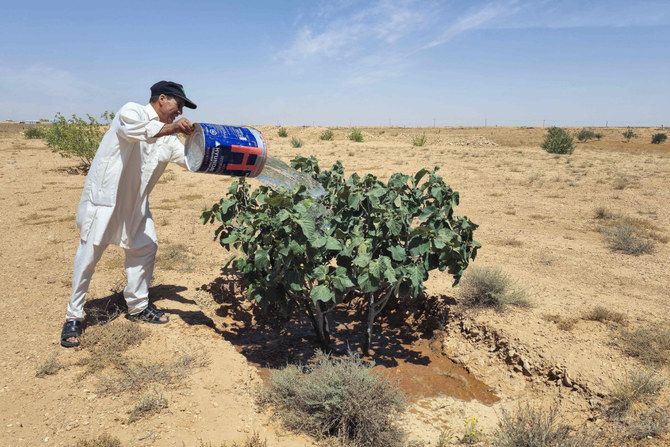 M'hamed Maakaf waters a fig tree with water drawn from a well in his field in the Libyan village of Kabaw in the Nafusa mountains on May 26, 2024. (AFP)