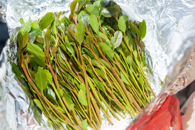 Patrols in Jazan thwarted the smuggling of 507 kg of qat. (SPA)
