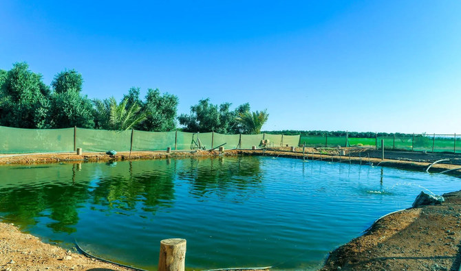 The National Center of Fisheries has undertaken several projects in collaboration with various universities and other entities, including the use of renewable energy for agriculture. (SPA/File)
