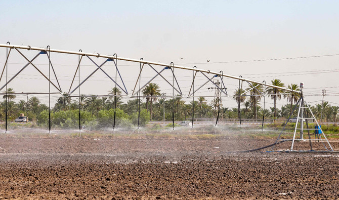 Sprinklers irrigate a rice field in Mishkhab in Iraq's Najaf province on July 8, 2024. (AFP/File)