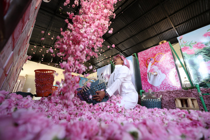 Taif produces more than 550 million flowers each harvest season, which lasts for between 45 and 60 days. (AFP photo)