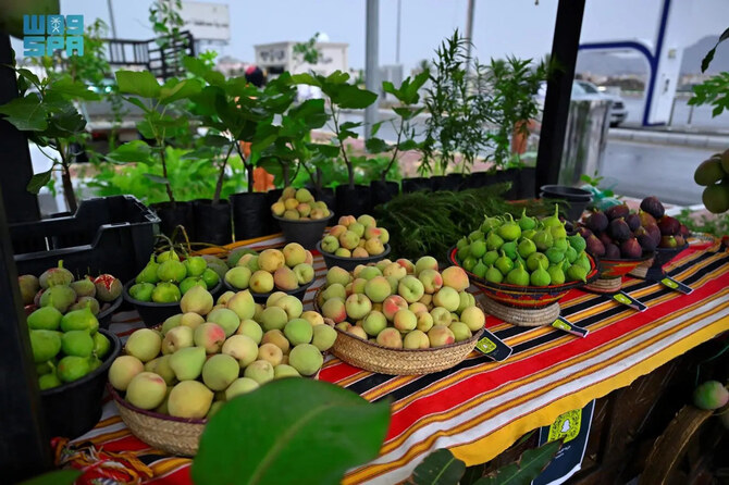 MEWA aims to promote awareness about the health benefits of consuming organic produce and local fruits in their season, and make these items more marketable. (SPA)