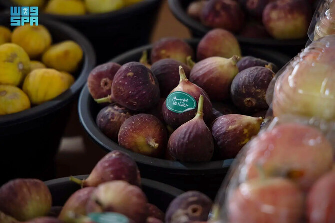 MEWA aims to promote awareness about the health benefits of consuming organic produce and local fruits in their season, and make these items more marketable. (SPA)