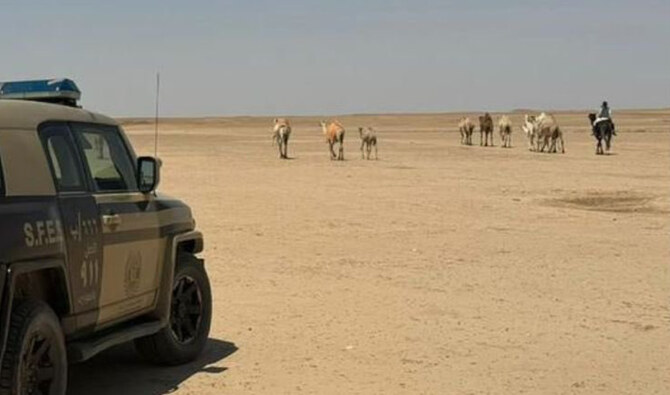 The Saudi authorities have urged the public to report any activities that may constitute an attack on the environment or wildlife. (X:@SFES_KSA)