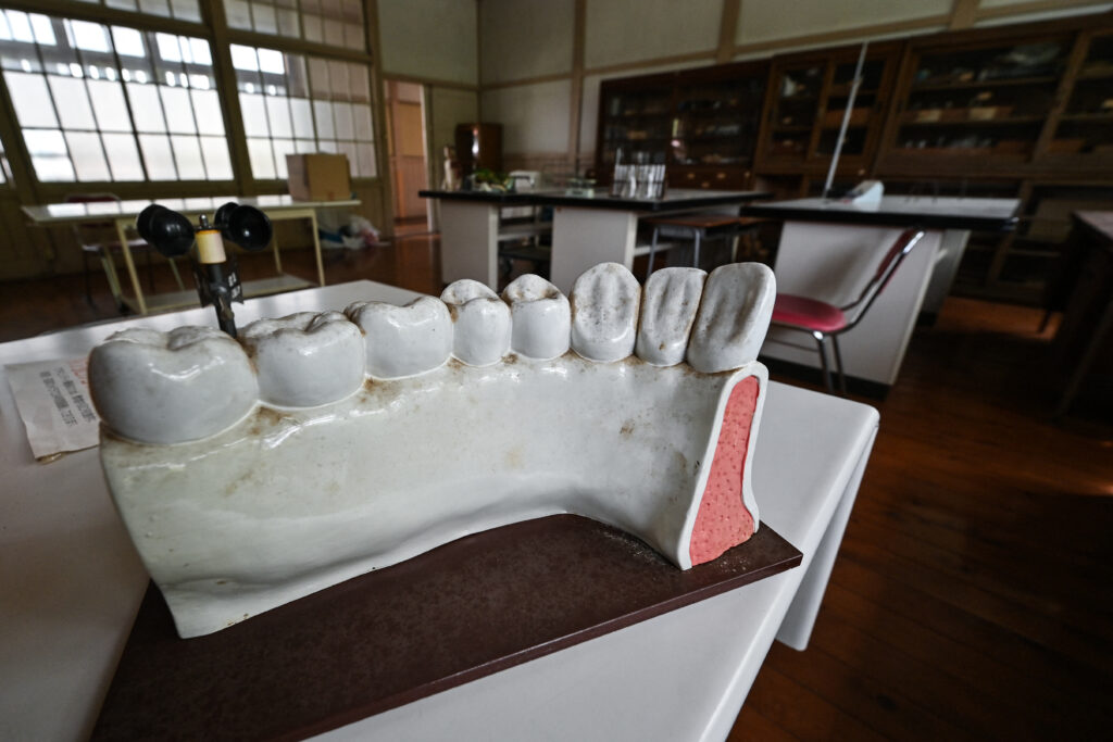 The treatment may be applied in the future to people who have permanently lost teeth due to cavities and other problems. (AFP)