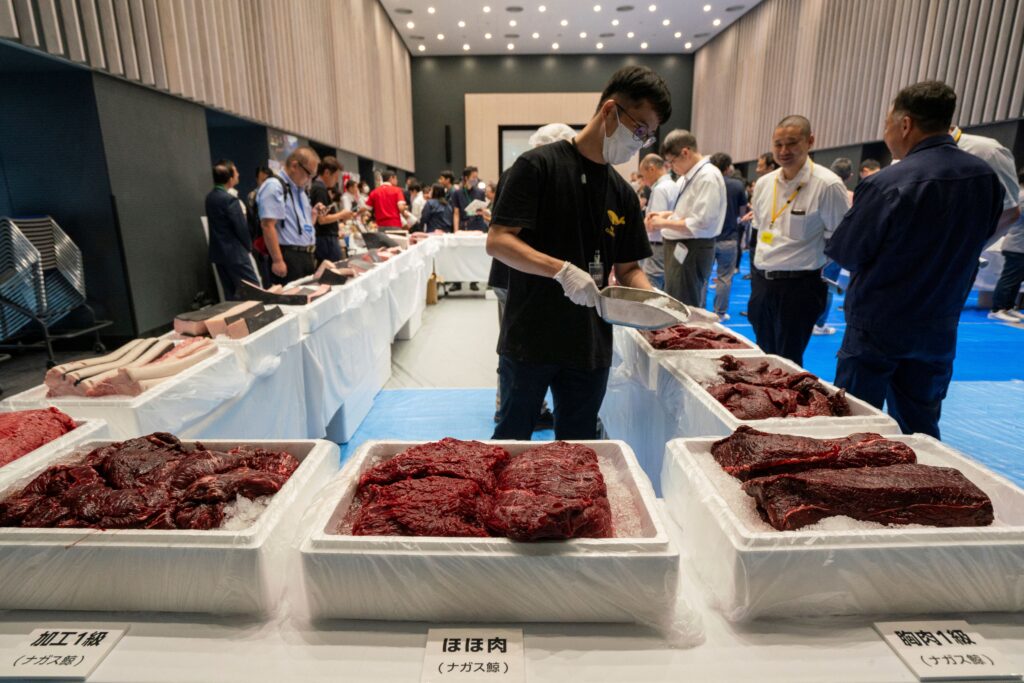 Almost every part of the whale was on display, including slabs of heart, slices of tail and chunks of blubber. (AFP)