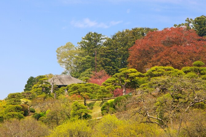 Scenery in Kairakuen Garden, Mito, Japan. Shutterstock