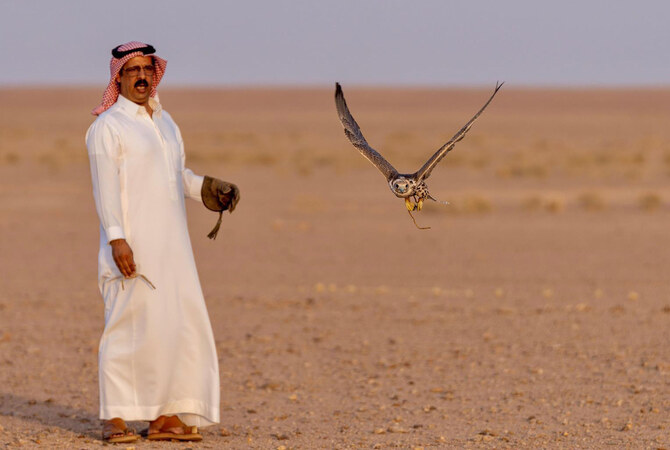 The festival will feature a distinguished group of falconers, including amateurs, professionals and falcon owners from Saudi Arabia and abroad. (SPA)