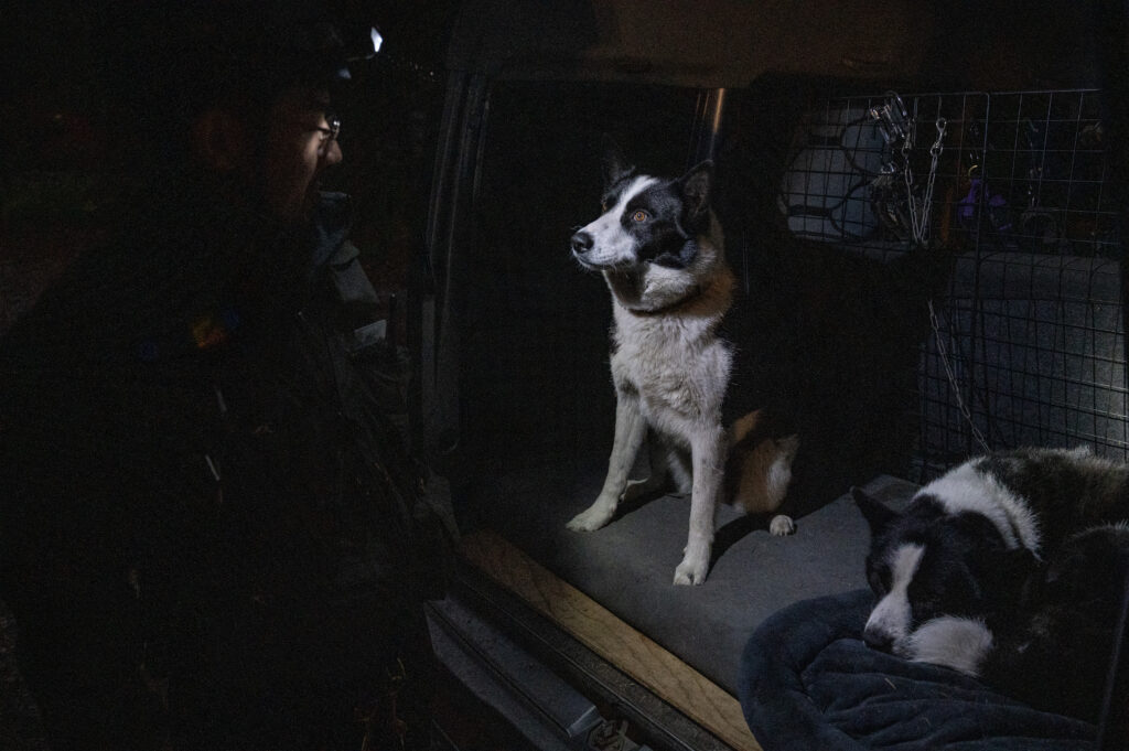 Around 70 to 80 canines, including dachshunds and poodles, were being kept at the facility, according to the official and local media. (AFP)