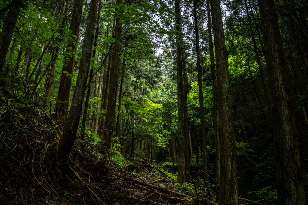 In November, Japanese ministries unveiled a draft plan aiming for a 60% GHG reduction by fiscal 2035 and 73% by 2040, based on a linear trajectory between Japan's current target of a 46% reduction by 2030 and achieving net zero by 2050. (AFP)