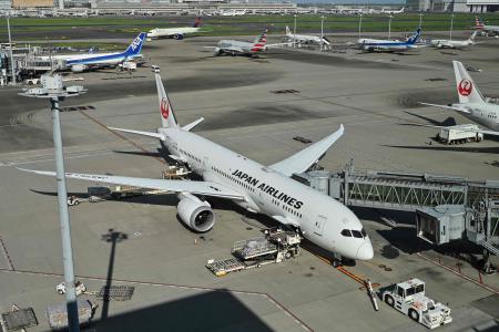 Japan Airlines (JAL) -- the country's second-biggest airline after All Nippon Airways (ANA) -- is just the latest Japanese company to be hit by a cyber attack. (AFP/file)