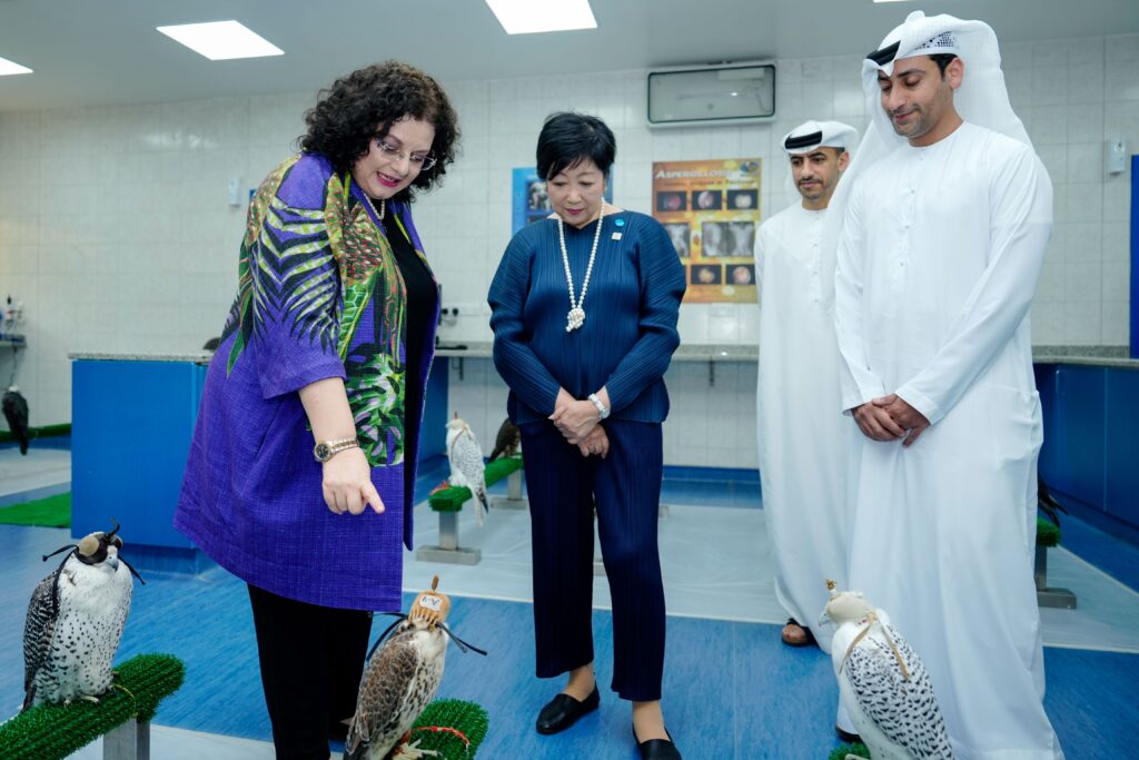 During her visit, Koike learned about the UAE's efforts to preserve the rich cultural heritage of falconry and protect wildlife. (WAM)