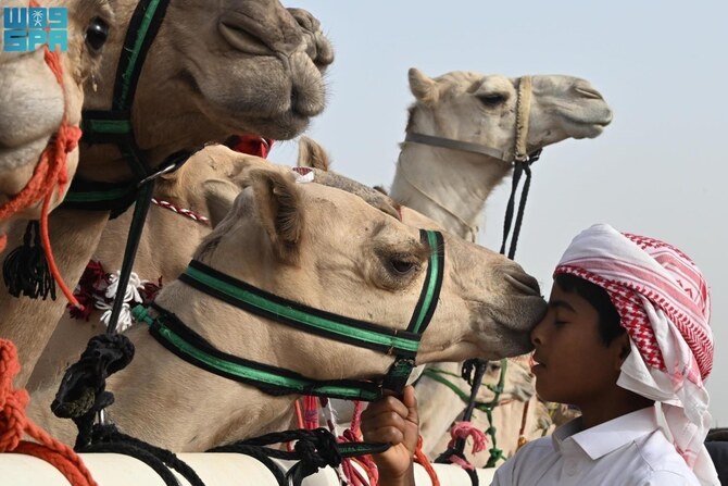 “The Year of The Camel” celebrated the cultural and social significance of camels, their esteemed status in Saudi society and their connection with the Arab people. (SPA)