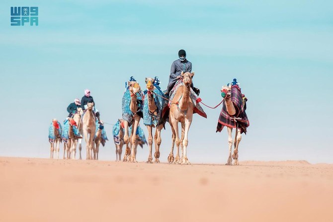 “The Year of The Camel” celebrated the cultural and social significance of camels, their esteemed status in Saudi society and their connection with the Arab people. (SPA)