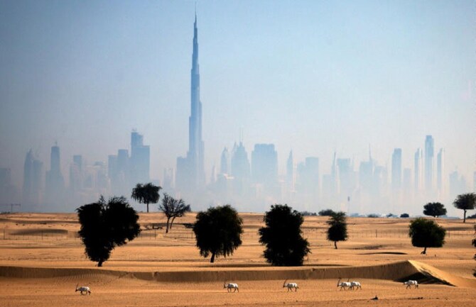 Decades of work and millions of dollars have been ploughed into easing endless drought in the UAE. (AFP)