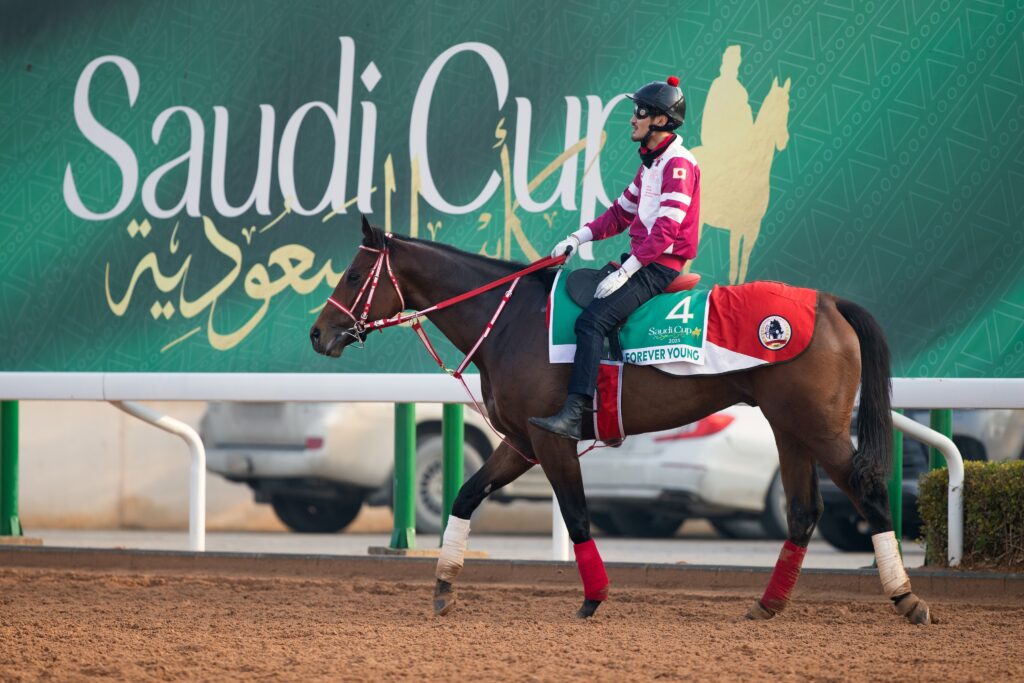 Saudi Derby winner Forever Young, the horse Susumu Fujita and trained by internationally renowned horseman Yoshito Yahagi, is also returning to the cup. (X/@TheSaudiCup)