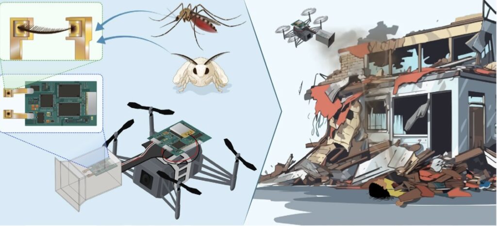 The researchers developed the odor-sensing bio-hybrid drone by integrating robotic technology with biological odor sensors from insects. (Shinshu and Chiba universities) 
