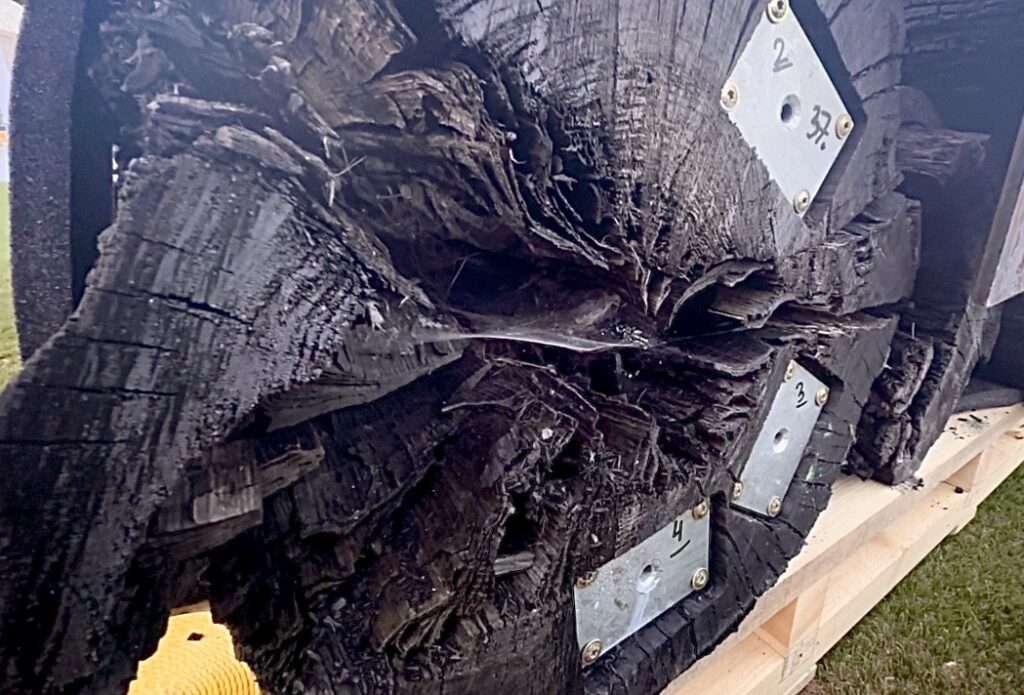 A unique pavilion at Osaka-Kansai is attracting interest with its seemingly ordinary yet extraordinary display of burned trees in a grassy field. (ANJ)
